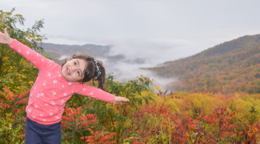 Travel Guide to The Great Smokey Mountain National Park by Tara Moayedi