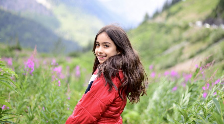 Kid friendly Glacier National Park Travel Guide