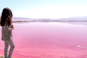 Pink Salt Lake in Shiraz Iran