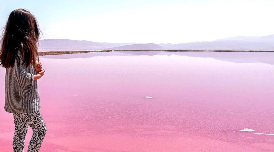 Pink Salt Lake in Shiraz Iran