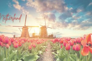 Netherland's Best Tourist Attractions: Land of Flowers, Windmills