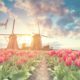 Netherland’s Best Tourist Attractions: Land of Flowers, Windmills