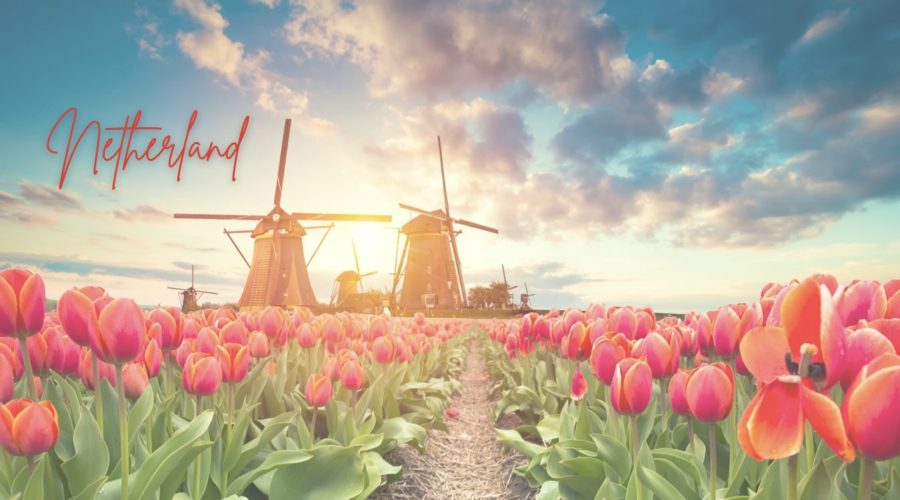 Netherland's Best Tourist Attractions: Land of Flowers, Windmills